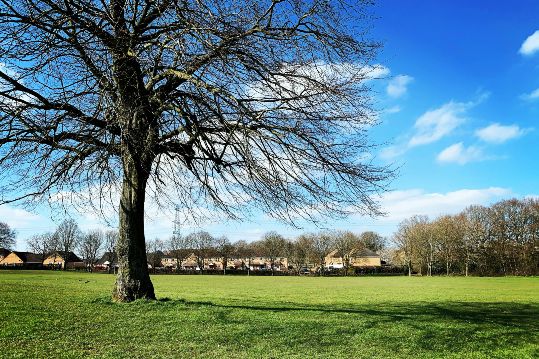University of Hertfordshire