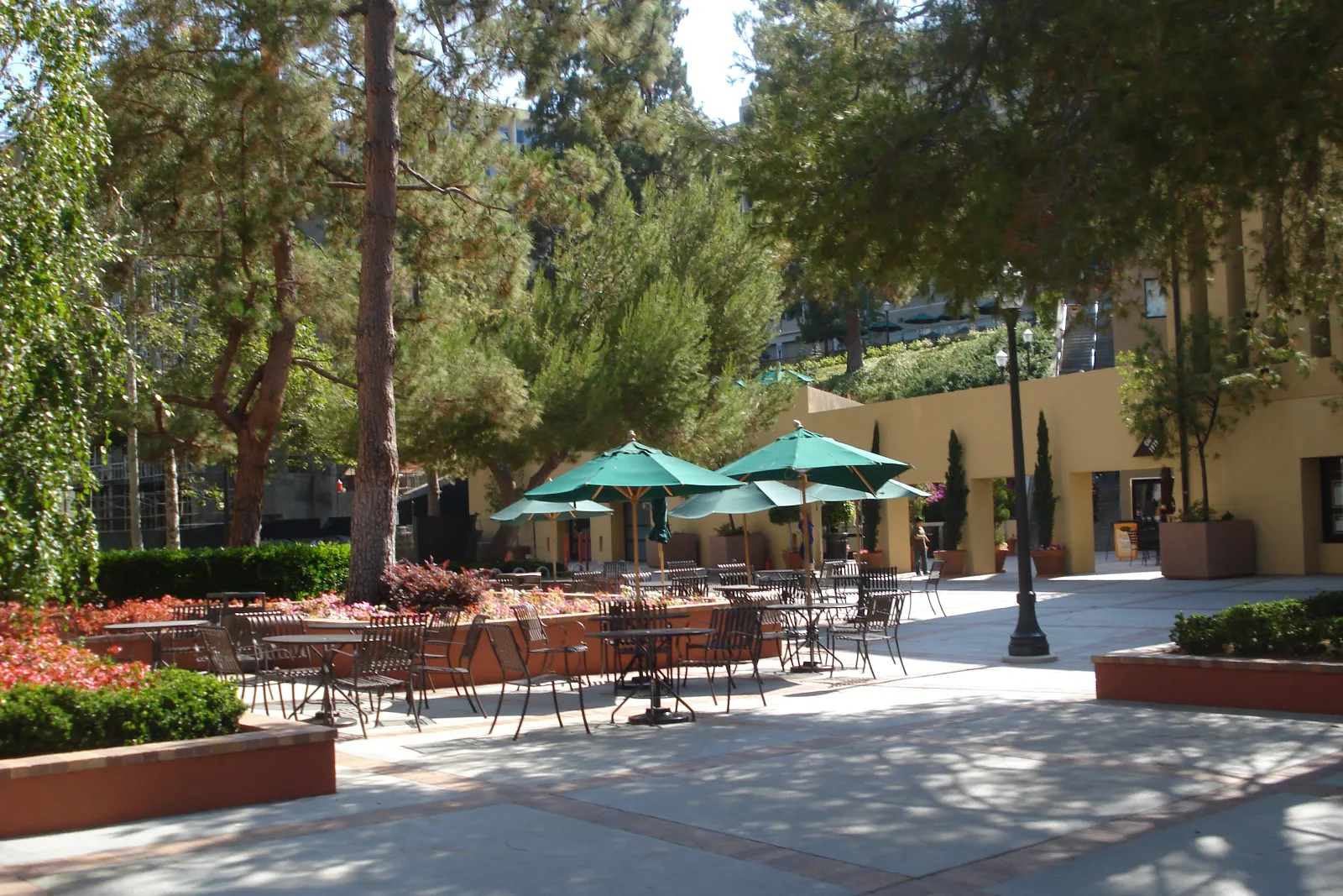 Accommodation
