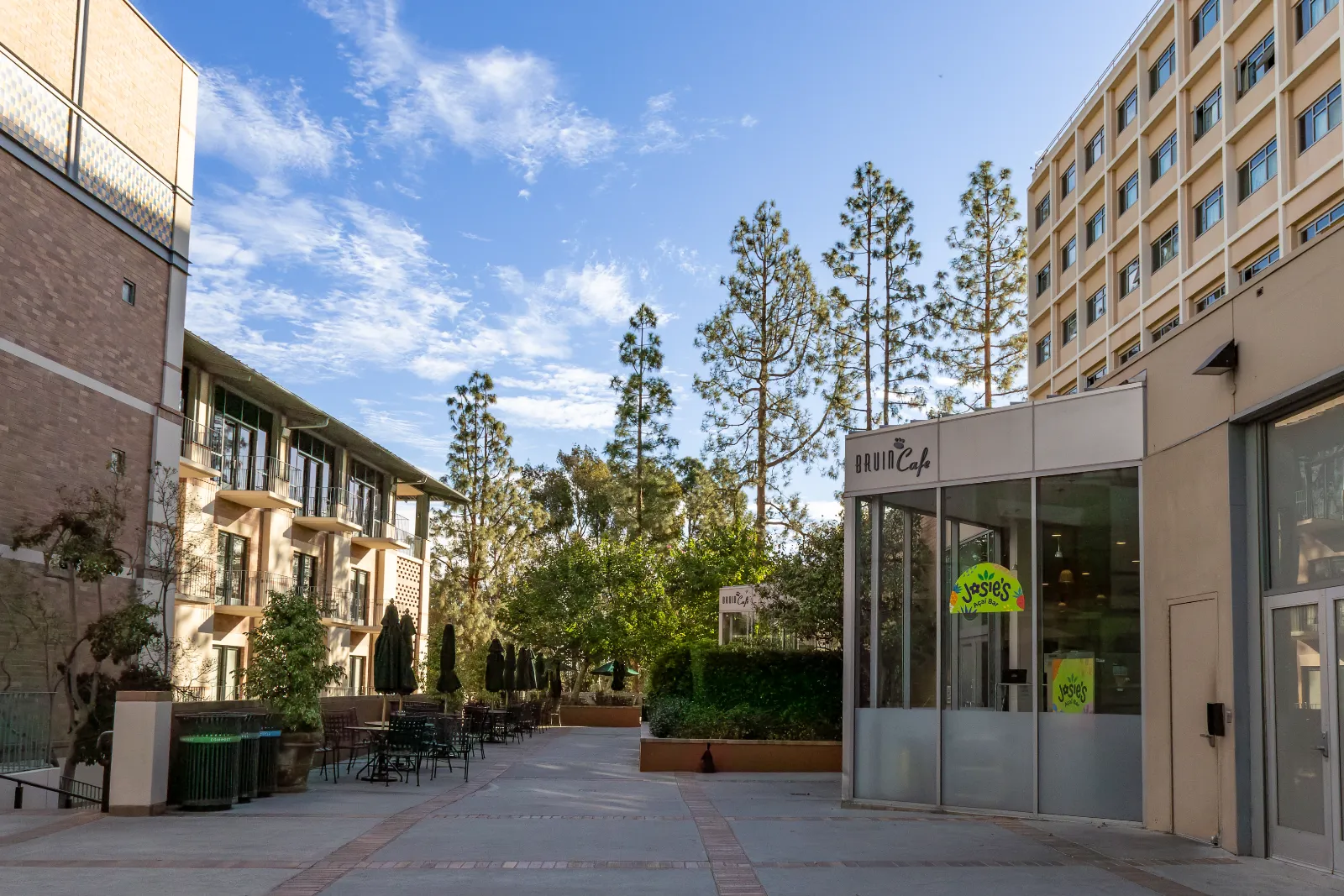 Accommodation